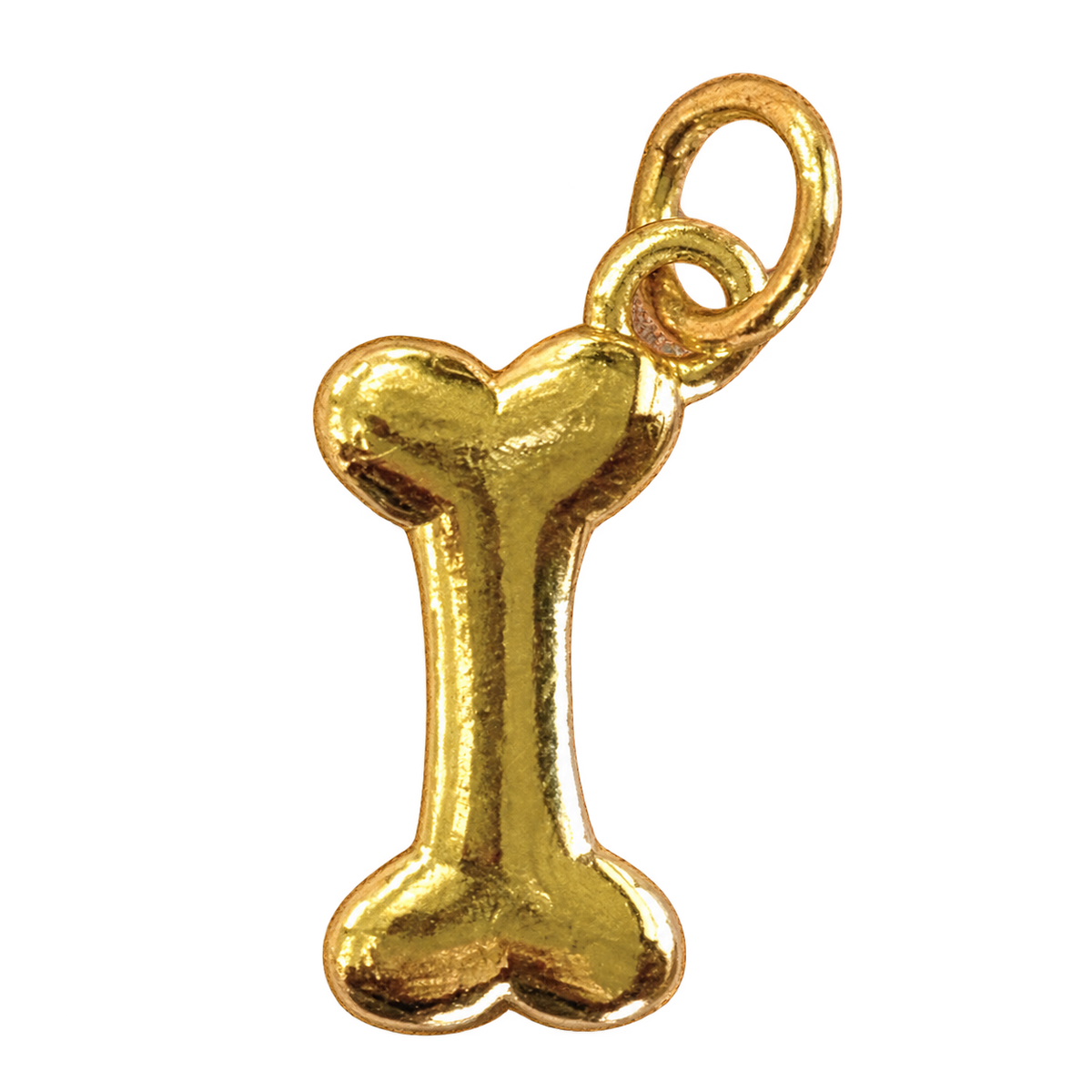 DOG BONE CHARM on transparent background