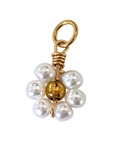 White Pearly Flower