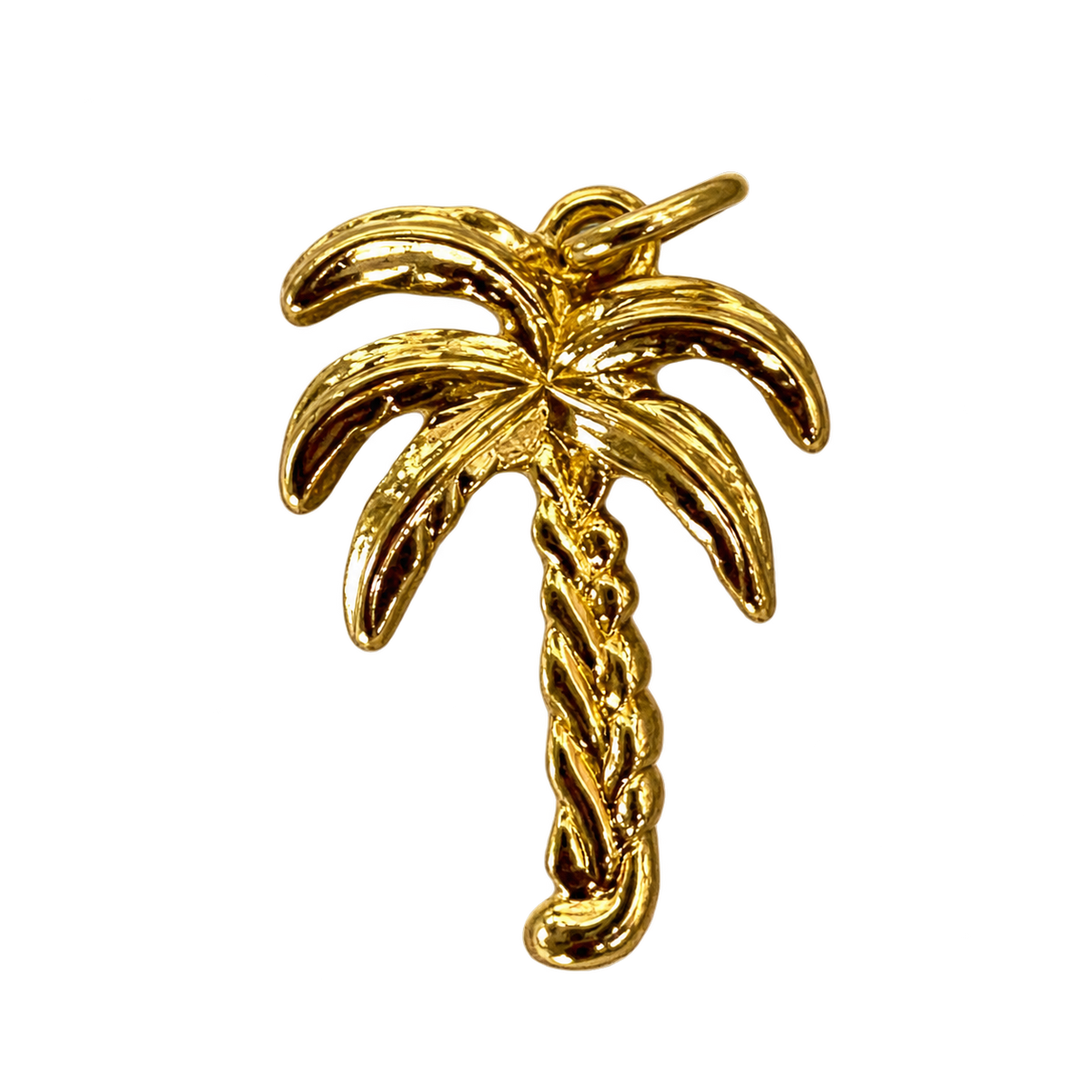 Big Palm Tree