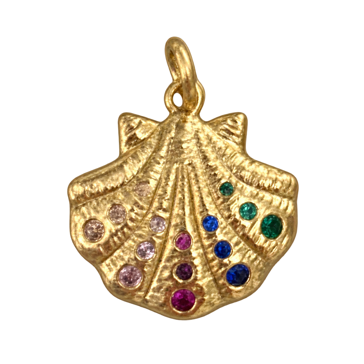 Colorful gem scallop shell
