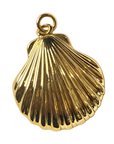 Gold filled Oyster shell