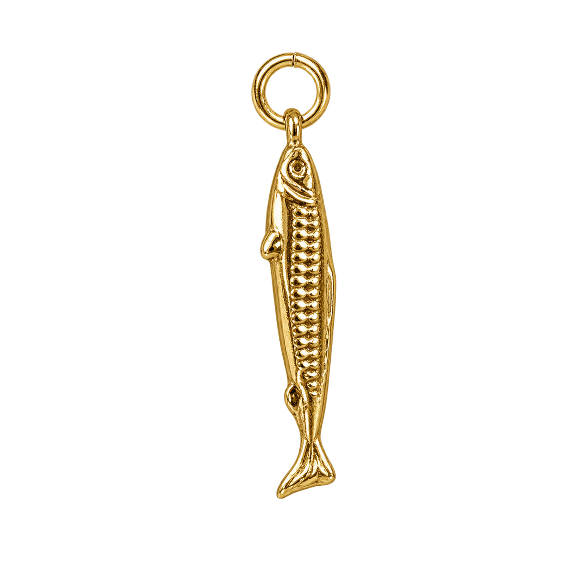Skinny small sardine - edited product photo