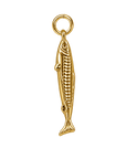 Skinny small sardine - edited product photo