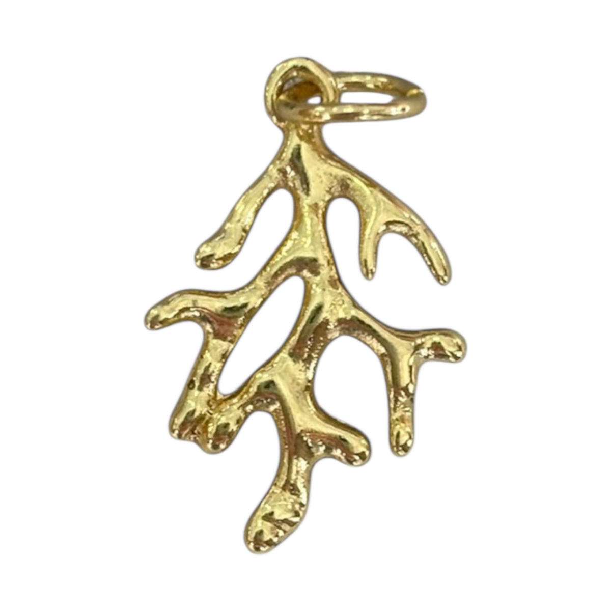 Baby Coral Charm on transparent background
