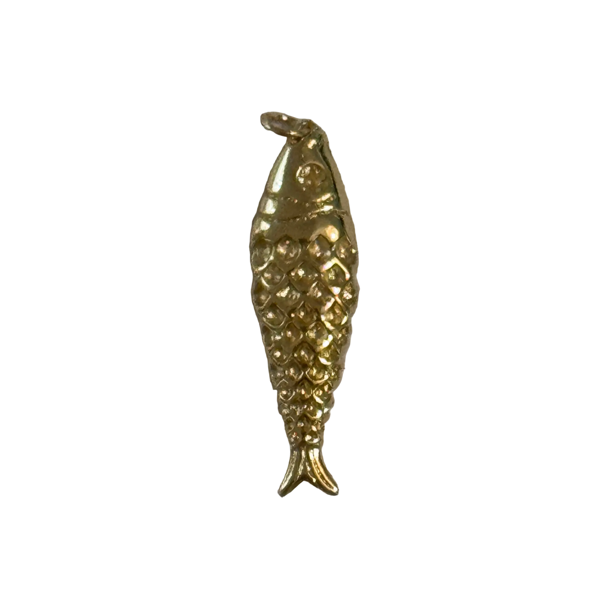 Gold filled Fish charm — Big natural full edit on transparent background
