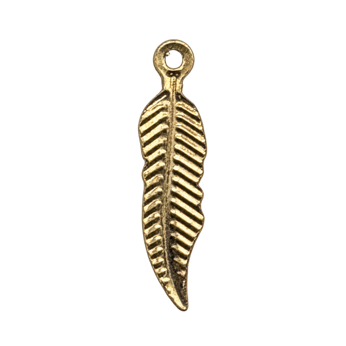 Feather charm natural finish, accurate original detail, transparent background