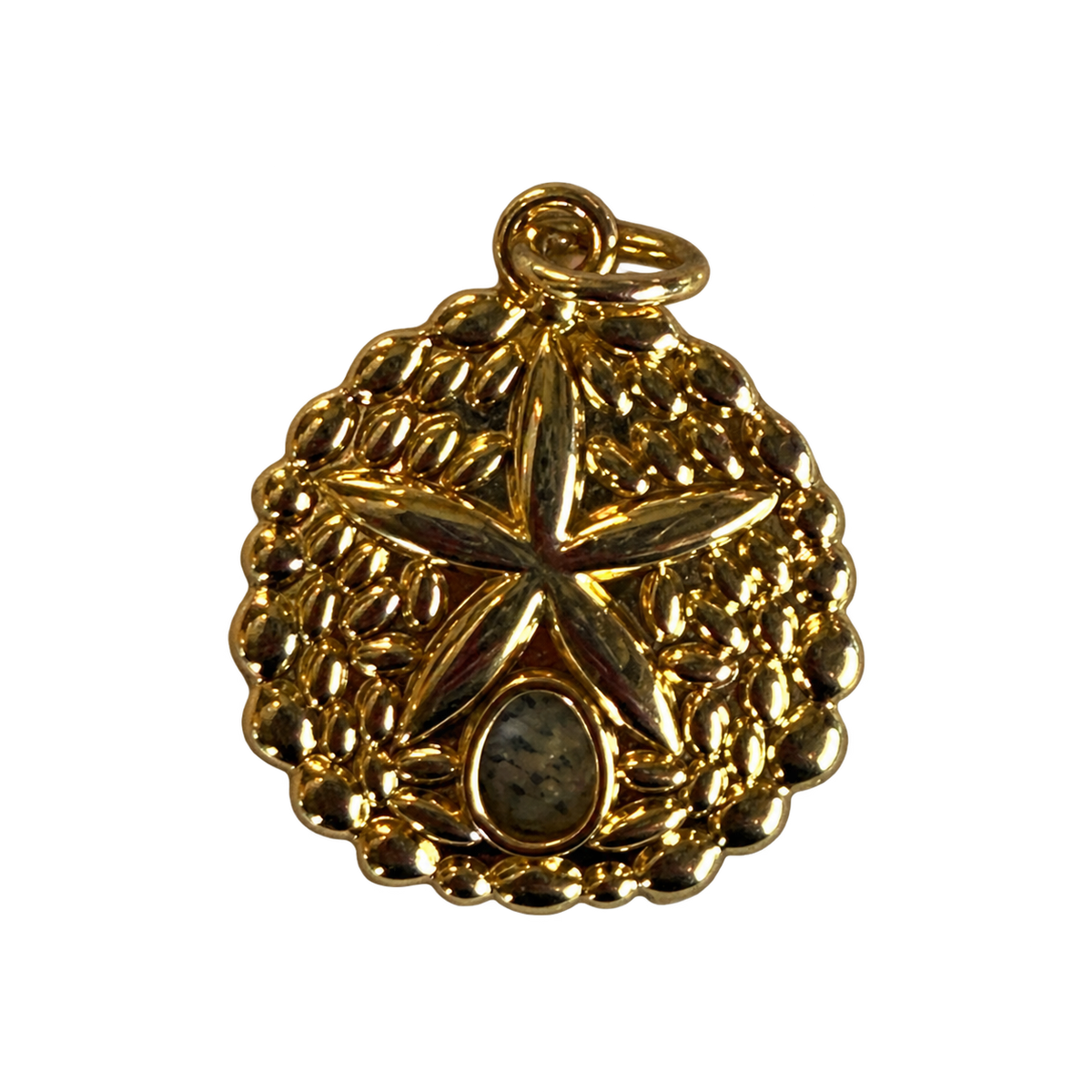 Sand Dollar Charm gold filled on transparent background