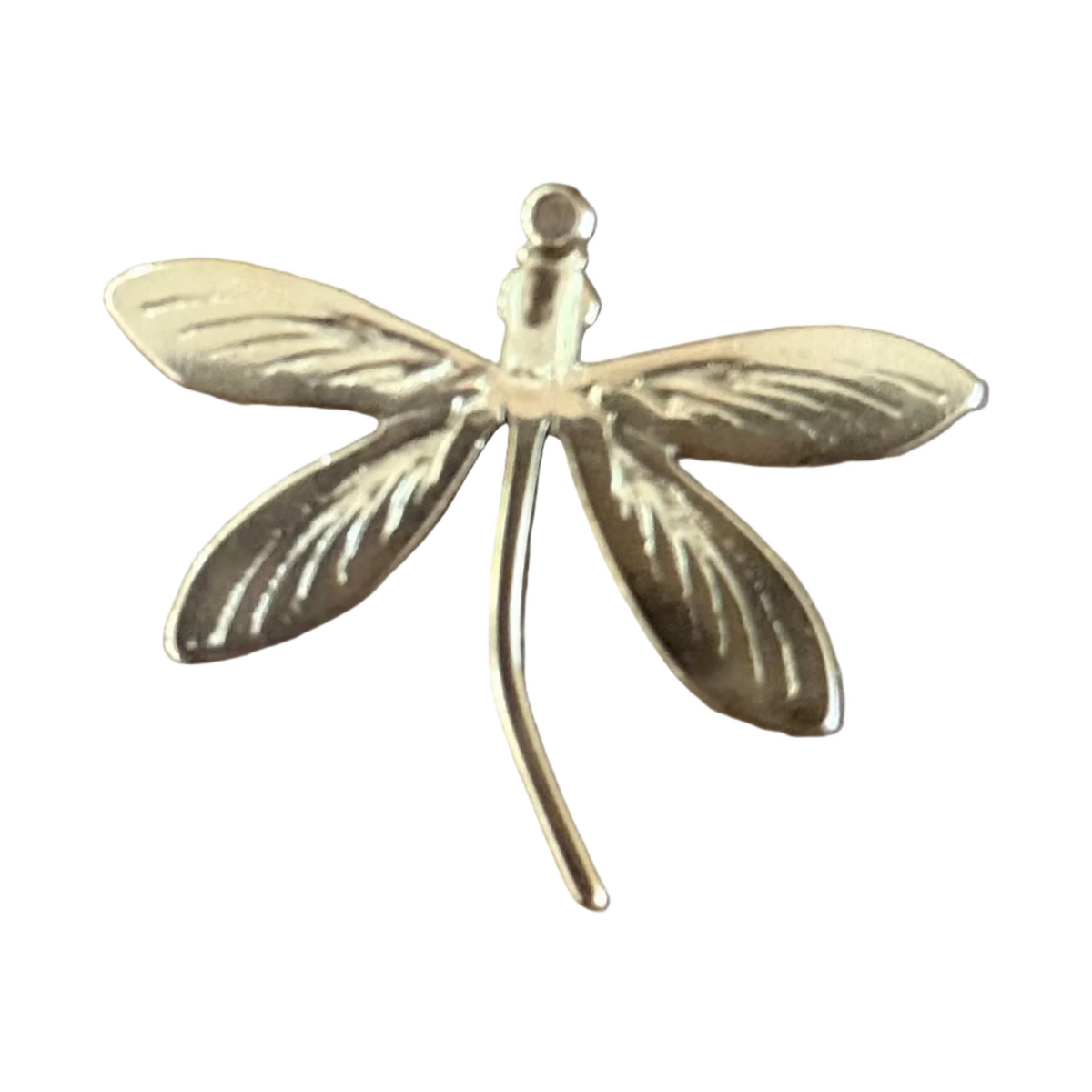 PVD dragonfly charm on transparent background