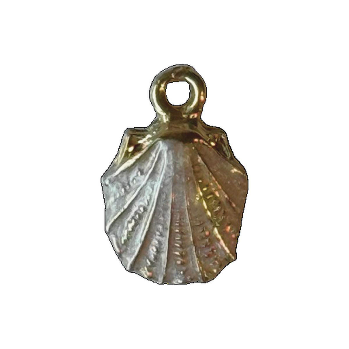 Pink Oyster shell charm natural full edit on transparent background