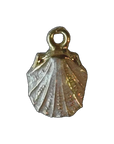 Pink Oyster shell charm natural full edit on transparent background