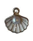 White Scallop Shell with Pearl charm natural full edit on transparent background
