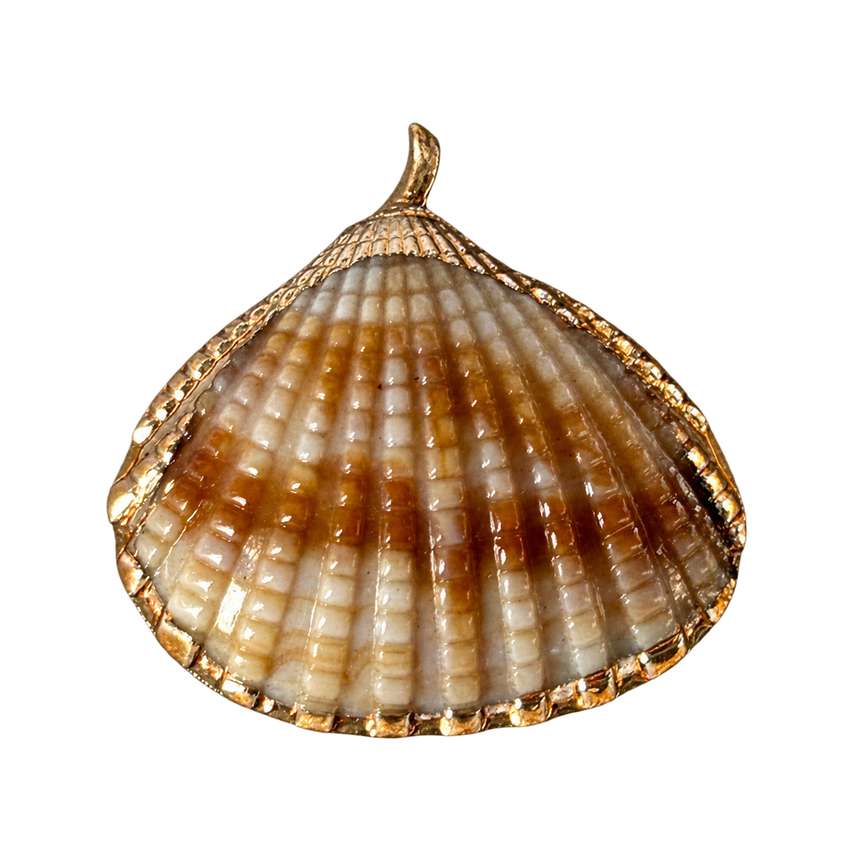 Tan Scallop Shell Charm transparent charm image